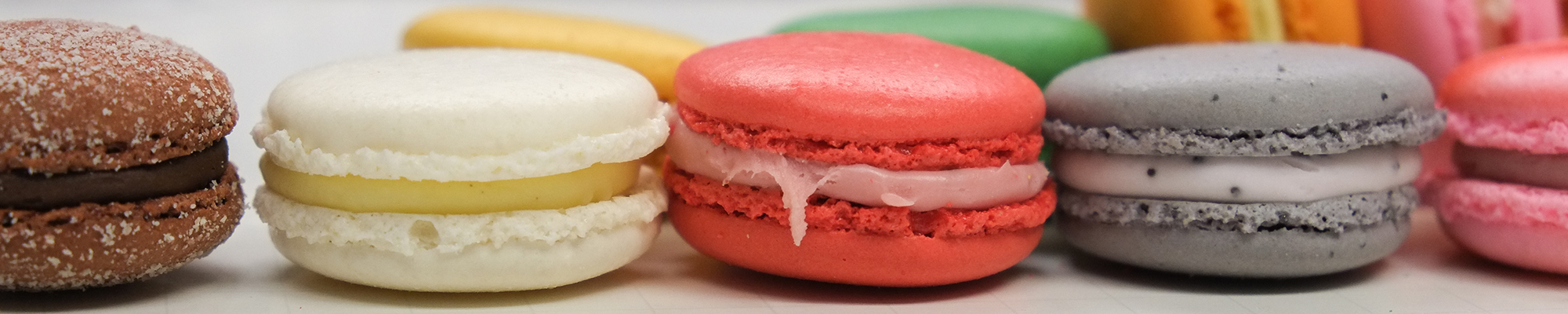 macaronheader3